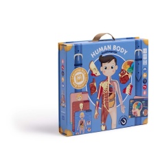 CUERPO HUMANO MAGNETICO MULTI LENGUAJE 2