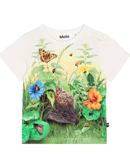 CAMISETA BEBE NIÑO MOLO EASY LIVING GARDEN