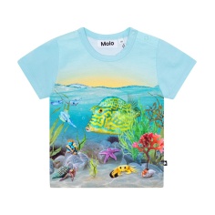 CAMISETA BEBE NIÑO MOLO EASY TROPIC SEA