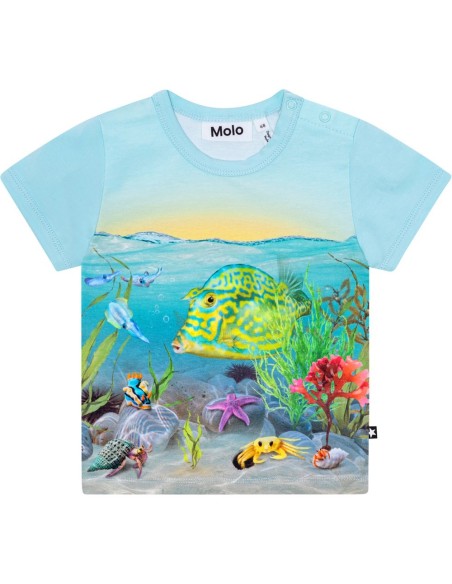 CAMISETA BEBE NIÑO MOLO EASY TROPIC SEA