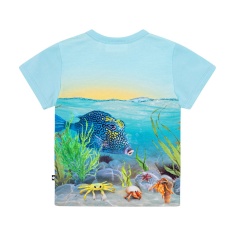 CAMISETA BEBE NIÑO MOLO EASY TROPIC SEA 2