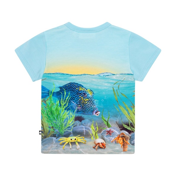 CAMISETA BEBE NIÑO MOLO EASY TROPIC SEA