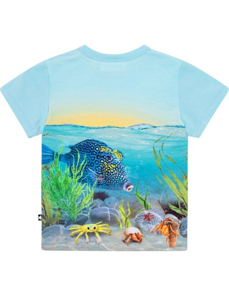 CAMISETA BEBE NIÑO MOLO EASY TROPIC SEA
