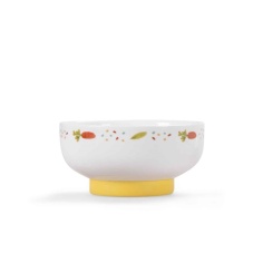 CONJUNTO VAJILLA DE PORCELANA `PETITS LAPINS´ 2