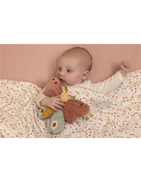 MARIPOSA ACTIVIDADES