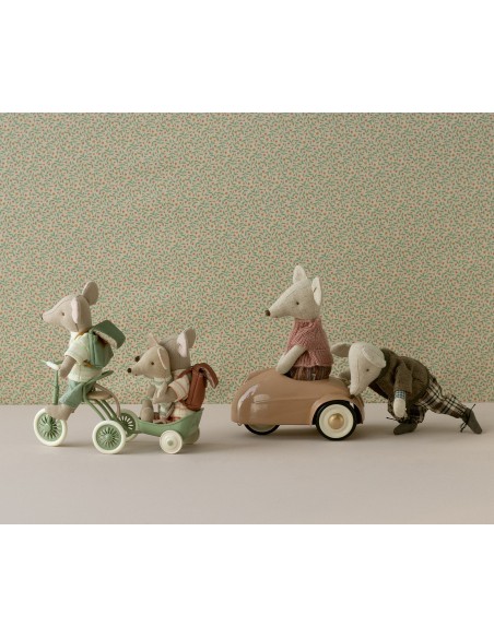 REMOLQUE PARA TRICICLO MAILEG