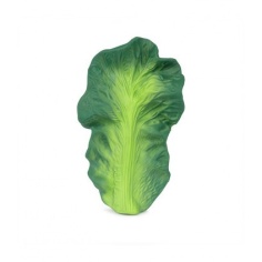 MORDEDOR `KENDALL THE KALE´