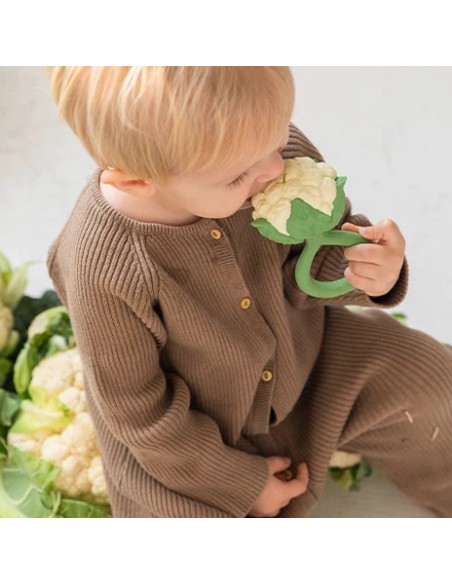 COLIFLOR SONAJERO MORDEDOR OLI&CAROL