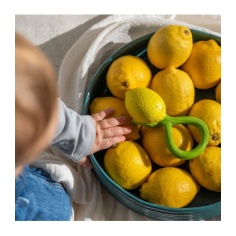 SONAJERO-MORDEDOR LIMÓN 2