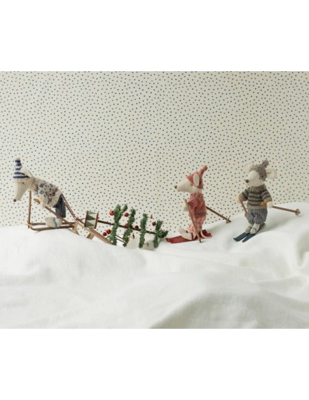 RATONA HERMANA MAYOR SKI