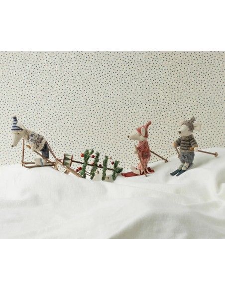 RATONCITO SKI SET
