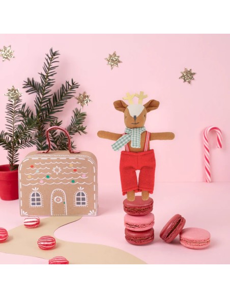 MALETA CON MINI RENO