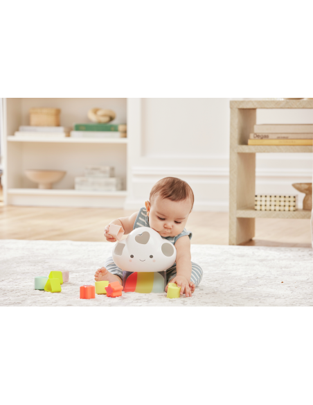 NUBE CLASIFICADORA DE FORMAS