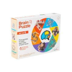 BRAIN PUZZLE SET