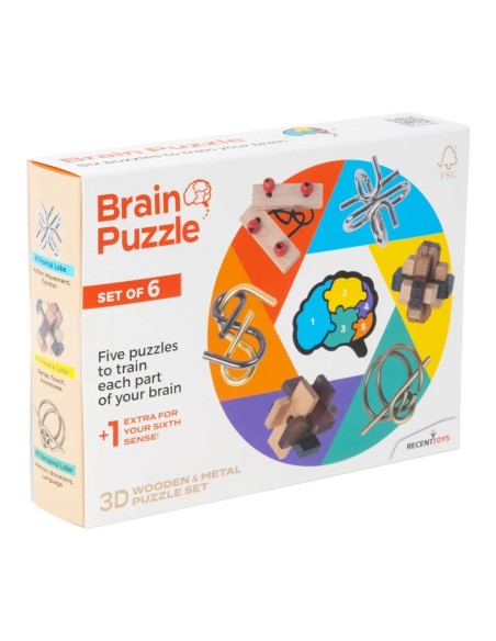 BRAIN PUZZLE SET