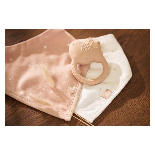 PACK 2 BANDANAS WILD ROSE ESTRELLAS