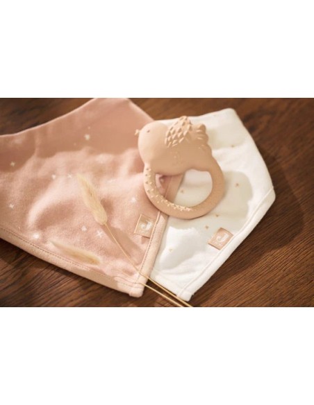 PACK 2 BANDANAS WILD ROSE ESTRELLAS