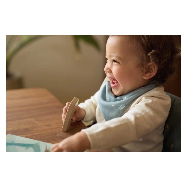 PACK 2 BANDANAS MINT ESTRELLAS