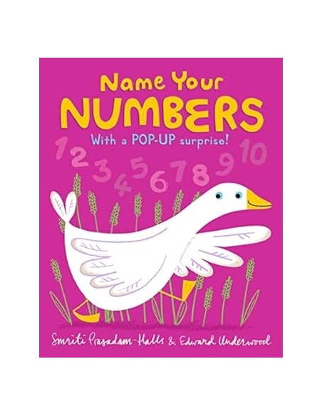NAME YOUR NUMBERS