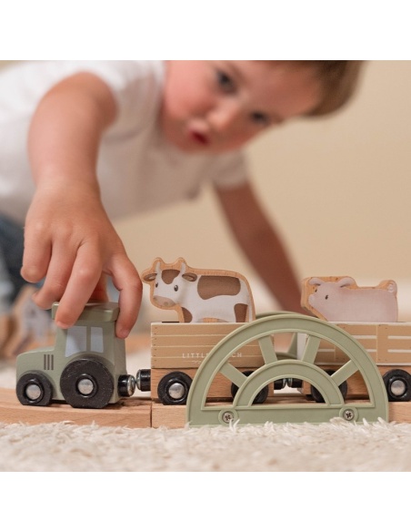 SISTEMA DE TREN PEQUEÑO GRANJA