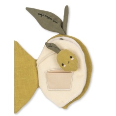 LIBRO DE TELA DE ACTIVIDADES LIMÓN 2