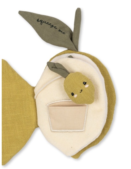 LIBRO DE TELA DE ACTIVIDADES LIMÓN