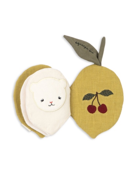 LIBRO DE TELA DE ACTIVIDADES LIMÓN