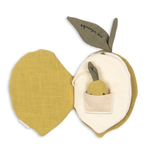 LIBRO DE TELA DE ACTIVIDADES LIMÓN