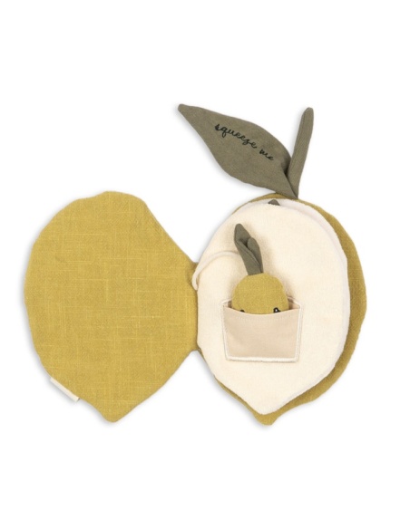 LIBRO DE TELA DE ACTIVIDADES LIMÓN