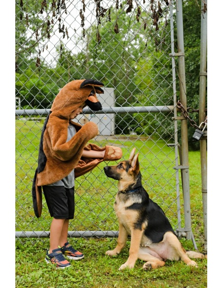 CAPA DISFRAZ PASTOR ALEMÁN BABY