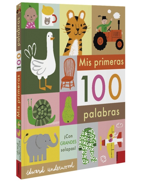 MIS PRIMERAS 100 PALABRAS