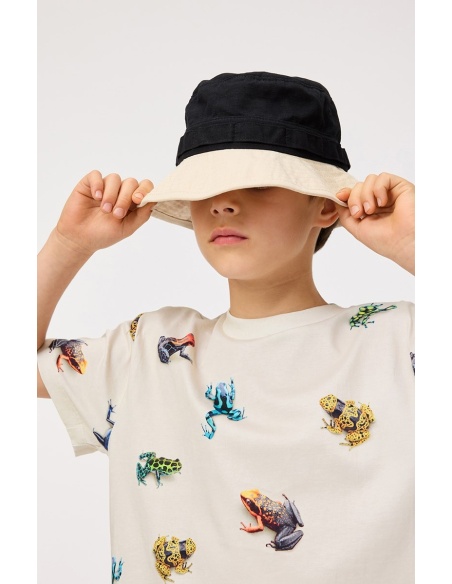 CAMISETA ALGODÓN `ROXO´ MOLO