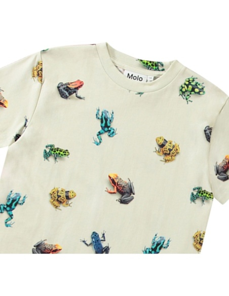 CAMISETA ALGODÓN `ROXO´ MOLO