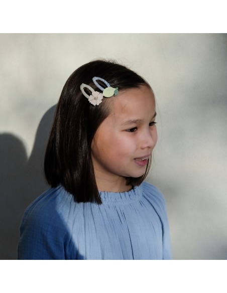 CLIPS FLORES Y LIMONES