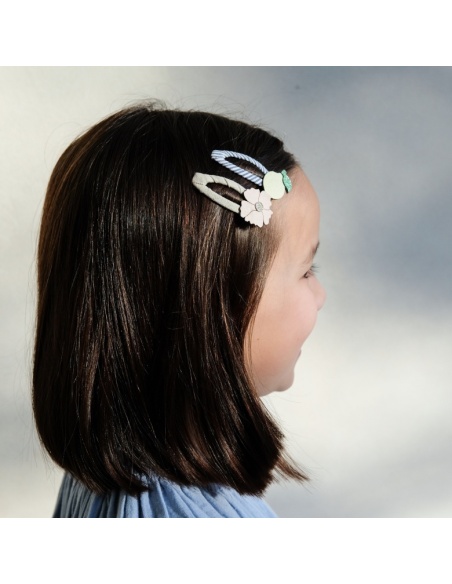 CLIPS FLORES Y LIMONES