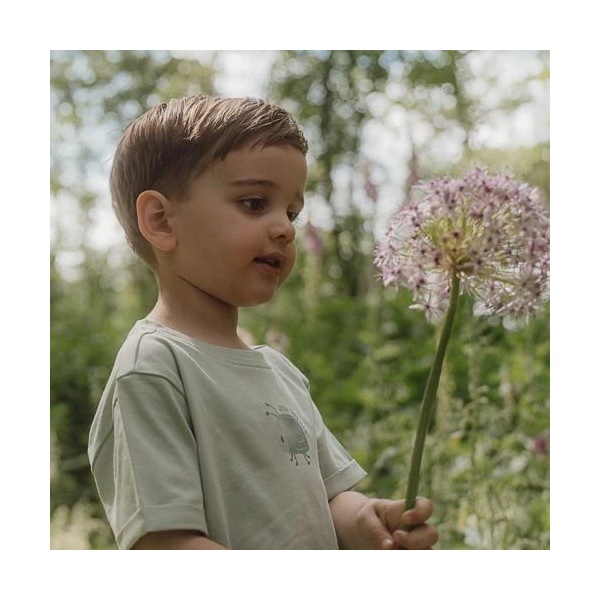 CAMISETA MANGA CORTA AMIGOS DEL BOSQUE