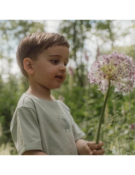 CAMISETA MANGA CORTA AMIGOS DEL BOSQUE