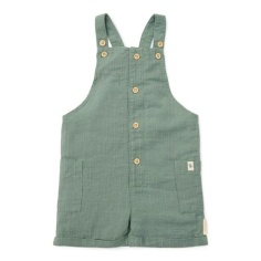 PETO CORTO VERDE FOREST