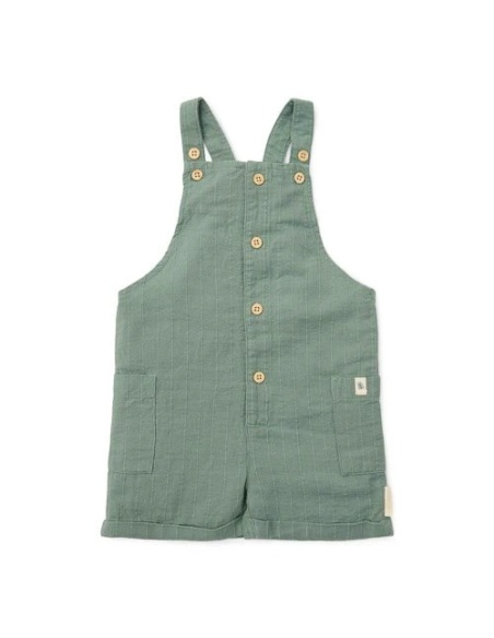 PETO CORTO VERDE FOREST