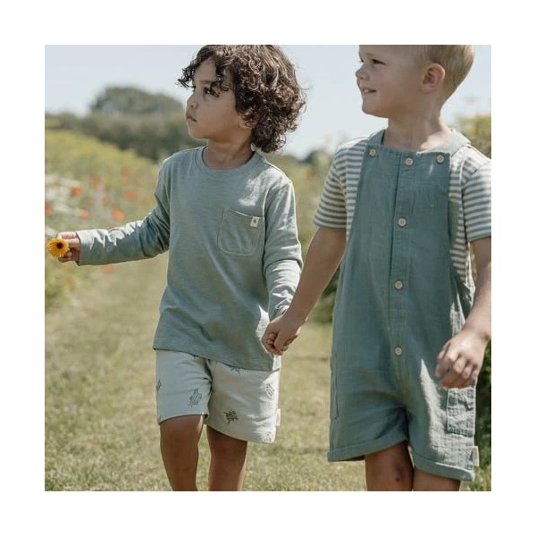 PETO CORTO VERDE FOREST