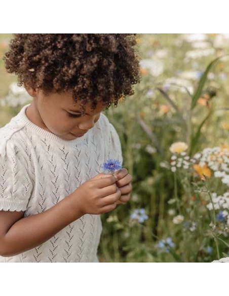 CAMISETA MANGA CORTA DE PUNTO
