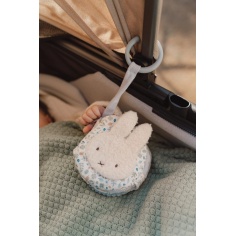 LIBRITO BLANDO ACTIVIDADES ANILLA LEAVES