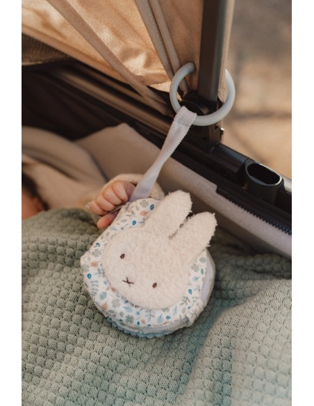 LIBRITO BLANDO ACTIVIDADES ANILLA LEAVES