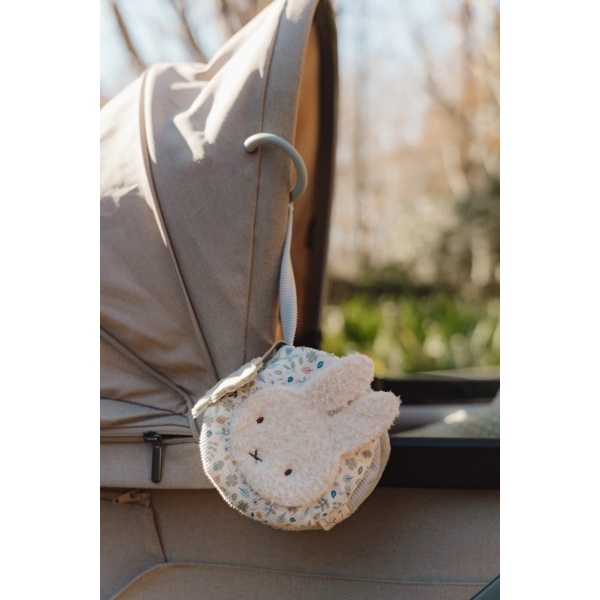 LIBRITO BLANDO ACTIVIDADES ANILLA LEAVES