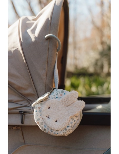 LIBRITO BLANDO ACTIVIDADES ANILLA LEAVES