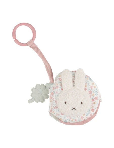 LIBRITO BLANDO ACTIVIDADES ANI MIFFY BLO