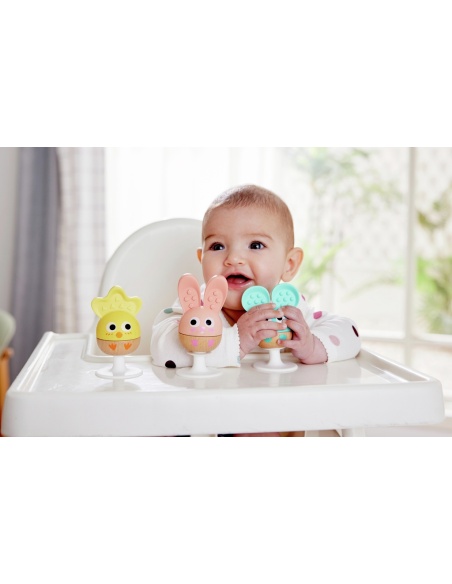 SET SONAJERO Y MORDEDOR