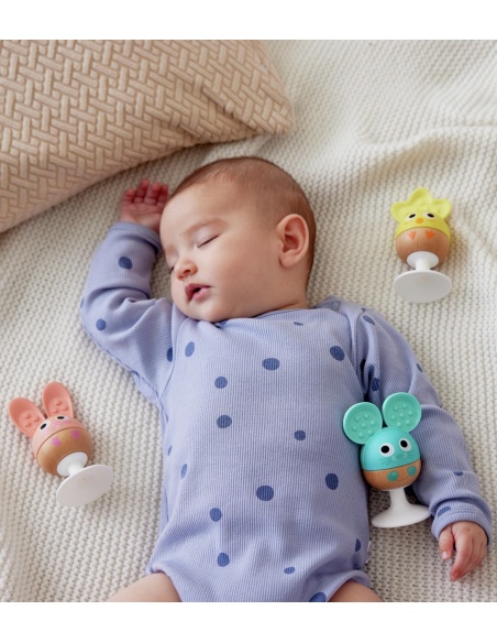 SET SONAJERO Y MORDEDOR