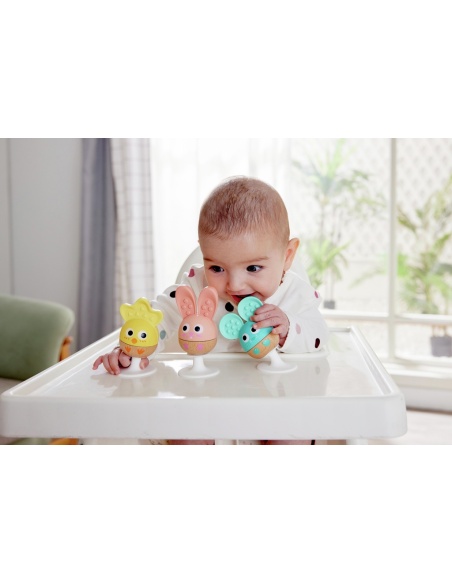 SET SONAJERO Y MORDEDOR