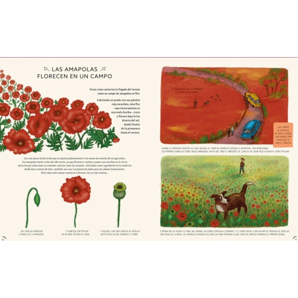 CON CALMA: 50 HISTORIAS DE LA NATURALEZA